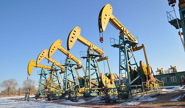 Oil